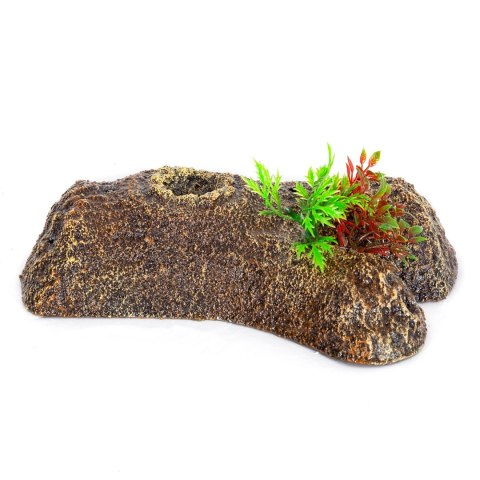 Repti-Zoo Turtle Floating Bark S - wyspa pływająca dla żółwi Repti-Zoo Repti-Zoo Turtle Floating Bark S - wyspa pływająca dla żółwi Repti-Zoo