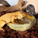 Repti-Zoo Vita-Calcium Shaker - kubek do obsypywania owadów karmowych Repti-Zoo