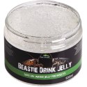 Terrario Beastie Drink Jelly 600g - bezpieczna woda w żelu dla owadów Terrario