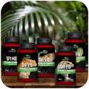 Terrario ORYO for Crested Gecko 150g - witaminy dla gekona orzęsionego Terrario