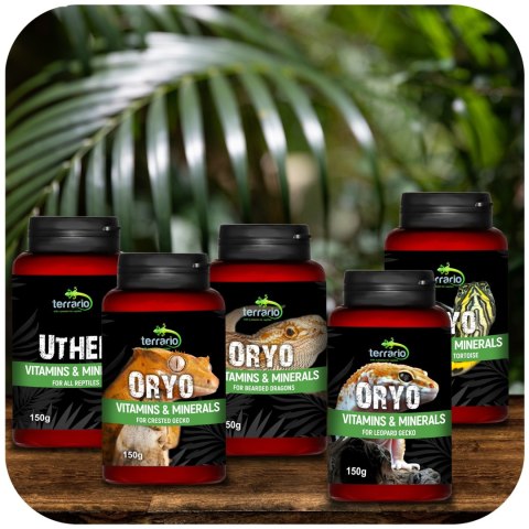 Terrario ORYO for Crested Gecko 150g - witaminy dla gekona orzęsionego Terrario Terrario ORYO for Crested Gecko 150g - witaminy dla gekona orzęsionego Terrario