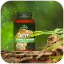 Terrario ORYO for Crested Gecko 150g - witaminy dla gekona orzęsionego Terrario