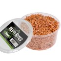 Terrario Repti Bites Gammarus 250ml - kiełż zdrojowy suszony Terrario