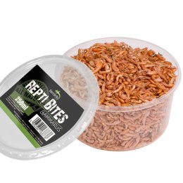 Terrario Repti Bites Gammarus 250ml - kiełż zdrojowy suszony Terrario