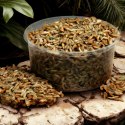 Terrario Repti Bites Gammarus 250ml - kiełż zdrojowy suszony Terrario