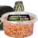 Terrario Repti Bites Gammarus 250ml - kiełż zdrojowy suszony Terrario