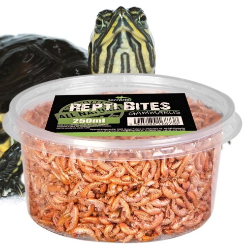 Terrario Repti Bites Gammarus 250ml - kiełż zdrojowy suszony Terrario Terrario Repti Bites Gammarus 250ml - kiełż zdrojowy suszony Terrario