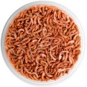 Terrario Repti Bites Gammarus 500ml - kiełż zdrojowy suszony Terrario