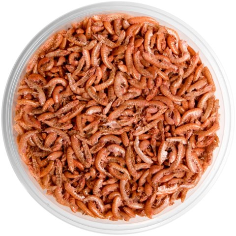 Terrario Repti Bites Gammarus 500ml - kiełż zdrojowy suszony Terrario Terrario Repti Bites Gammarus 500ml - kiełż zdrojowy suszony Terrario