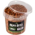 Terrario Repti Bites Gammarus 500ml - kiełż zdrojowy suszony Terrario