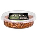 Terrario Repti Bites Mealworms 125ml - larwy mącznika suszone Terrario