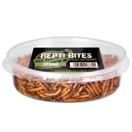 Terrario Repti Bites Mealworms 125ml - larwy mącznika suszone Terrario