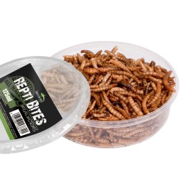 Terrario Repti Bites Mealworms 125ml - larwy mącznika suszone Terrario