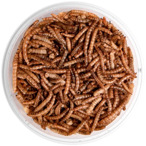 Terrario Repti Bites Mealworms 125ml - larwy mącznika suszone Terrario Terrario Repti Bites Mealworms 125ml - larwy mącznika suszone Terrario