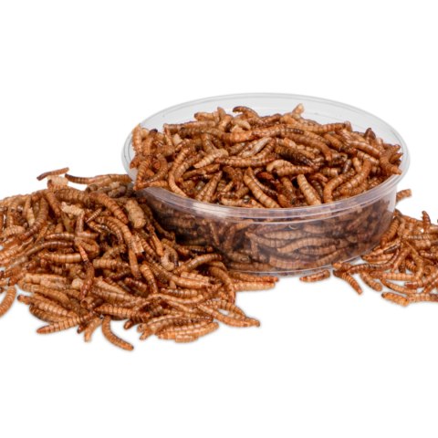 Terrario Repti Bites Mealworms 125ml - larwy mącznika suszone Terrario Terrario Repti Bites Mealworms 125ml - larwy mącznika suszone Terrario