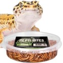 Terrario Repti Bites Mealworms 125ml - larwy mącznika suszone Terrario