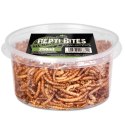 Terrario Repti Bites Mealworms 250ml - larwy mącznika suszone Terrario