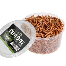 Terrario Repti Bites Mealworms 250ml - larwy mącznika suszone Terrario