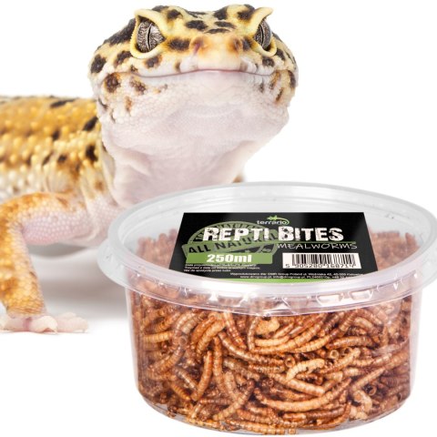 Terrario Repti Bites Mealworms 250ml - larwy mącznika suszone Terrario Terrario Repti Bites Mealworms 250ml - larwy mącznika suszone Terrario