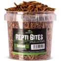 Terrario Repti Bites Mealworms 500ml - larwy mącznika suszone Terrario