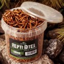Terrario Repti Bites Mealworms 500ml - larwy mącznika suszone Terrario