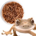Terrario Repti Bites Mealworms 500ml - larwy mącznika suszone Terrario