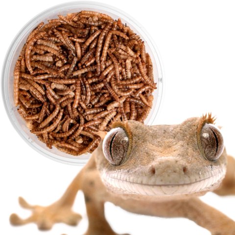 Terrario Repti Bites Mealworms 500ml - larwy mącznika suszone Terrario Terrario Repti Bites Mealworms 500ml - larwy mącznika suszone Terrario