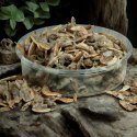 Terrario Repti Bites Shrimps 125ml - krewetki suszone Terrario