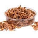 Terrario Repti Bites Shrimps 125ml - krewetki suszone Terrario