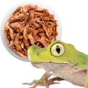Terrario Repti Bites Shrimps 125ml - krewetki suszone Terrario