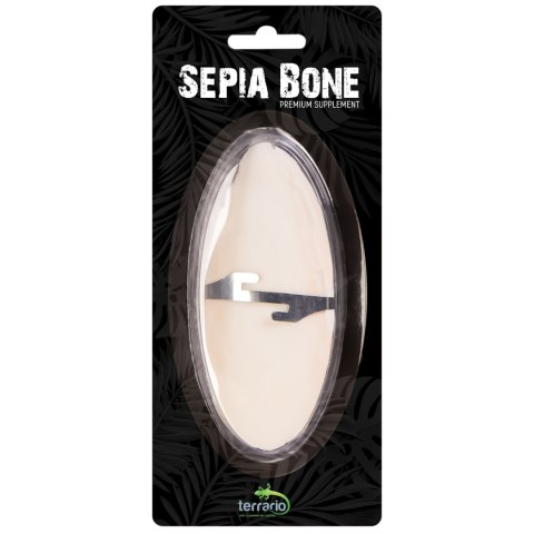 Terrario Sepia Bone - sepia 24 sztuki Terrario Terrario Sepia Bone - sepia 24 sztuki Terrario