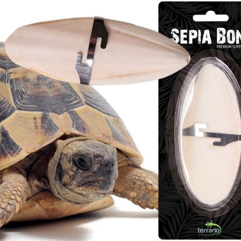 Terrario Sepia Bone - sepia 24 sztuki Terrario Terrario Sepia Bone - sepia 24 sztuki Terrario