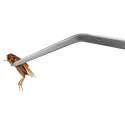 Terrario ViperTweez Bent XL - pęseta zagięta 38cm Terrario