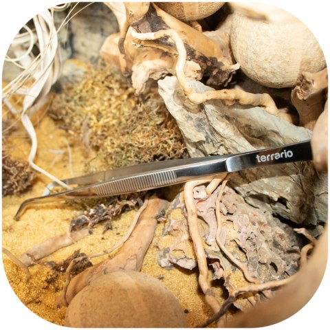 Terrario ViperTweez Bent M - pęseta zagięta 25cm Terrario Terrario ViperTweez Bent M - pęseta zagięta 25cm Terrario