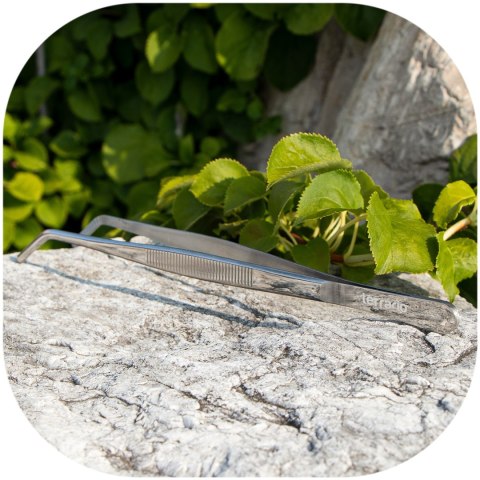 Terrario ViperTweez Bent M - pęseta zagięta 25cm Terrario Terrario ViperTweez Bent M - pęseta zagięta 25cm Terrario