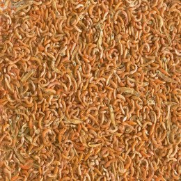 Tetra Gammarus Mix 250ml - pokarm dla żółwi z gammarus Tetra