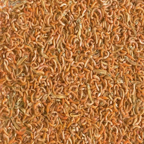 Tetra Gammarus Mix 250ml - pokarm dla żółwi z gammarus Tetra Tetra Gammarus Mix 250ml - pokarm dla żółwi z gammarus Tetra