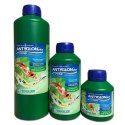 Zoolek Antyglon 500ml (preparat na glony) Zoolek