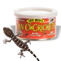 Zoomed Can O' Crickets Small - pokarm w puszcze świerszcze małe Zoomed Zoomed Can O' Crickets Small - pokarm w puszcze świerszcze małe Zoomed