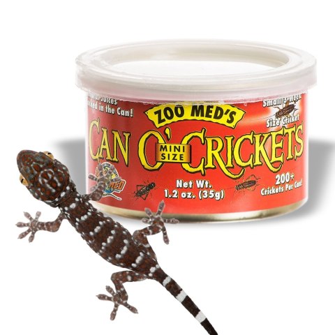 Zoomed Can O' Crickets Small - pokarm w puszcze świerszcze małe Zoomed Zoomed Can O' Crickets Small - pokarm w puszcze świerszcze małe Zoomed