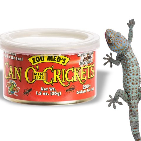 Zoomed Can O' Crickets Small - pokarm w puszcze świerszcze małe Zoomed Zoomed Can O' Crickets Small - pokarm w puszcze świerszcze małe Zoomed