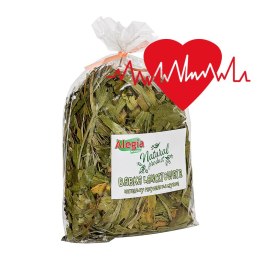 Alegia - Babka Lancetowata 100g Alegia