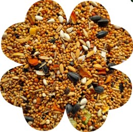 Alegia Enjoy pokarm dla nimfy 900g Alegia