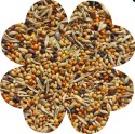 Alegia Enjoy pokarm dla zeberek i papużek egzotycznych 450g Alegia