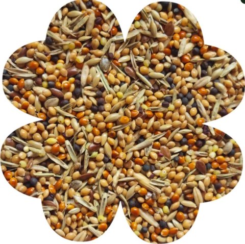 Alegia Enjoy pokarm dla zeberek i papużek egzotycznych 450g Alegia Alegia Enjoy pokarm dla zeberek i papużek egzotycznych 450g Alegia