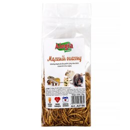 Alegia - larwy mącznika 60g Alegia