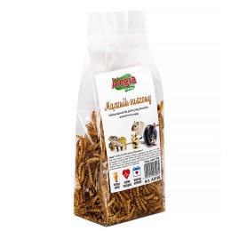 Alegia - larwy mącznika 60g Alegia