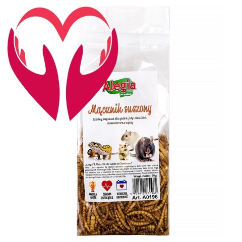 Alegia - larwy mącznika 60g Alegia Alegia - larwy mącznika 60g Alegia