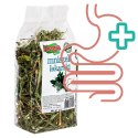 Alegia - mniszek lekarski 90g Alegia