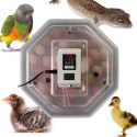 Kruger Meier ProLexor 60 - inkubator z termostatem na 60 jaj Kruger Meier